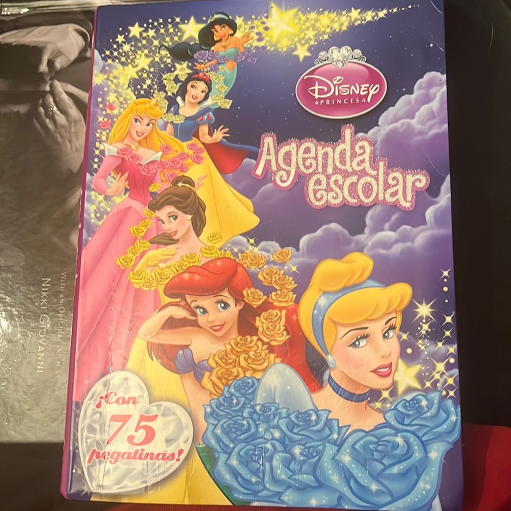 Spanish Disney Princess agenda
